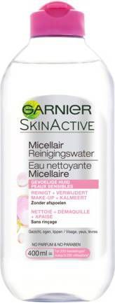 Garnier Skin Naturals Essentials Reinigings Doekjes 3/1 Voordeelverpakking 6x400ml online kopen